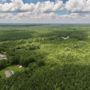 Photo #13 of SOLD property in Off Evans Farm Road, Hollister, NC 27.8 acres