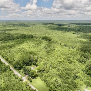 Photo #14 of SOLD property in Off Evans Farm Road, Hollister, NC 27.8 acres