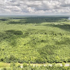 Photo #16 of SOLD property in Off Evans Farm Road, Hollister, NC 27.8 acres