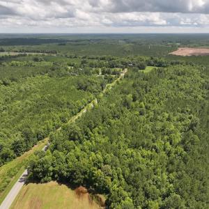 Photo #19 of SOLD property in Off Evans Farm Road, Hollister, NC 27.8 acres