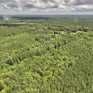 Photo #20 of SOLD property in Off Evans Farm Road, Hollister, NC 27.8 acres