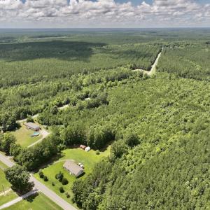 Photo #5 of SOLD property in Off Evans Farm Road, Hollister, NC 27.8 acres