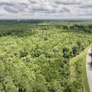 Photo #7 of SOLD property in Off Evans Farm Road, Hollister, NC 27.8 acres