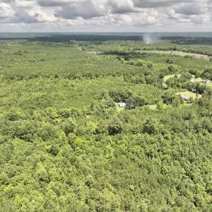 Photo #21 of SOLD property in Off Evans Farm Road, Hollister, NC 27.8 acres