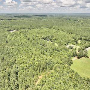 Photo #23 of SOLD property in Off Evans Farm Road, Hollister, NC 27.8 acres