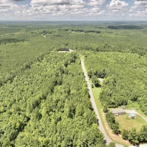 Photo #26 of SOLD property in Off Evans Farm Road, Hollister, NC 27.8 acres