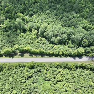 Photo #27 of SOLD property in Off Evans Farm Road, Hollister, NC 27.8 acres