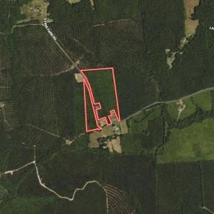 Photo #28 of SOLD property in Off Evans Farm Road, Hollister, NC 27.8 acres
