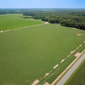 Photo #2 of SOLD property in Ivor Rd, Courtland, VA 202.0 acres