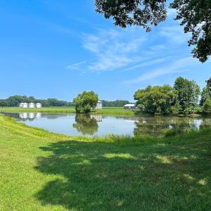 Photo #3 of SOLD property in Ivor Rd, Courtland, VA 202.0 acres