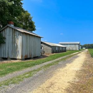 Photo #7 of SOLD property in Ivor Rd, Courtland, VA 202.0 acres