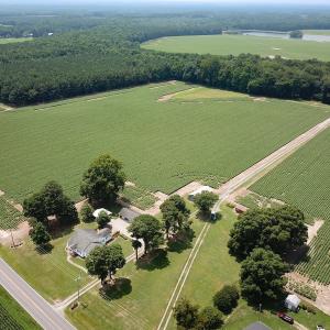 Photo #8 of SOLD property in Ivor Rd, Courtland, VA 202.0 acres