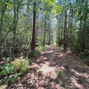 Photo #9 of SOLD property in Ivor Rd, Courtland, VA 202.0 acres