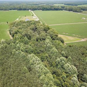 Photo #11 of SOLD property in Ivor Rd, Courtland, VA 202.0 acres