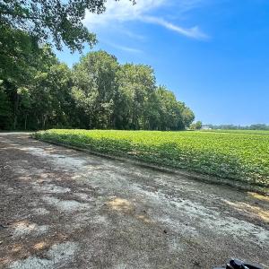 Photo #12 of SOLD property in Ivor Rd, Courtland, VA 202.0 acres