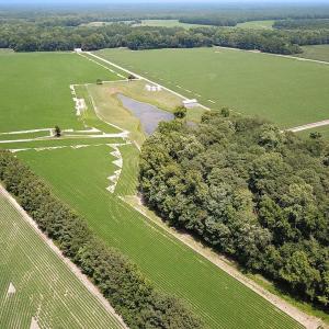 Photo #13 of SOLD property in Ivor Rd, Courtland, VA 202.0 acres