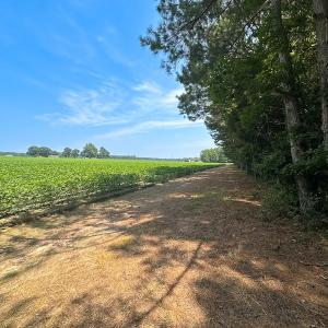 Photo #15 of SOLD property in Ivor Rd, Courtland, VA 202.0 acres