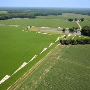 Photo #16 of SOLD property in Ivor Rd, Courtland, VA 202.0 acres