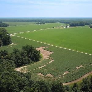 Photo #19 of SOLD property in Ivor Rd, Courtland, VA 202.0 acres