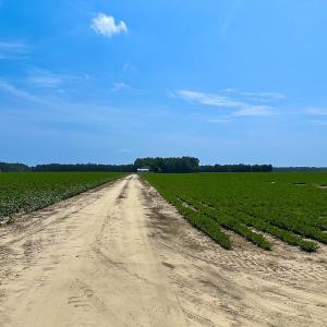 Photo #20 of SOLD property in Ivor Rd, Courtland, VA 202.0 acres