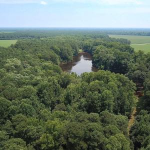 Photo #22 of SOLD property in Ivor Rd, Courtland, VA 202.0 acres