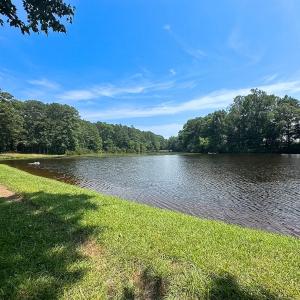 Photo #24 of SOLD property in Ivor Rd, Courtland, VA 202.0 acres