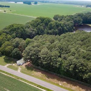 Photo #25 of SOLD property in Ivor Rd, Courtland, VA 202.0 acres