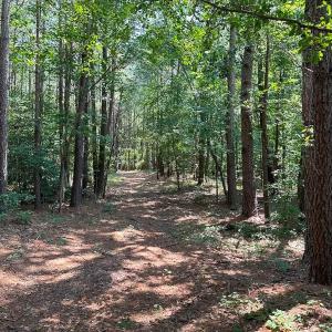 Photo #26 of SOLD property in Ivor Rd, Courtland, VA 202.0 acres