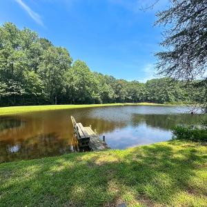 Photo #27 of SOLD property in Ivor Rd, Courtland, VA 202.0 acres