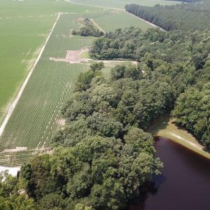 Photo #28 of SOLD property in Ivor Rd, Courtland, VA 202.0 acres