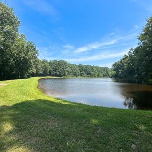Photo #29 of SOLD property in Ivor Rd, Courtland, VA 202.0 acres