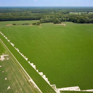 Photo #30 of SOLD property in Ivor Rd, Courtland, VA 202.0 acres