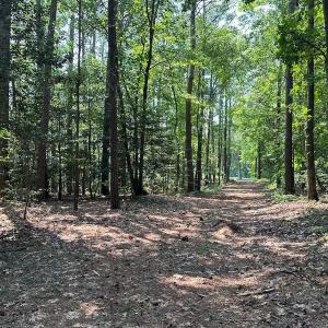 Photo #31 of SOLD property in Ivor Rd, Courtland, VA 202.0 acres