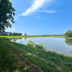 Photo #32 of SOLD property in Ivor Rd, Courtland, VA 202.0 acres