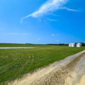 Photo #34 of SOLD property in Ivor Rd, Courtland, VA 202.0 acres