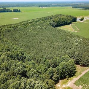 Photo #36 of SOLD property in Ivor Rd, Courtland, VA 202.0 acres