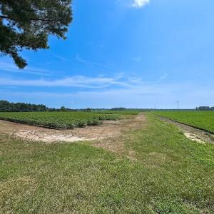 Photo #42 of SOLD property in Ivor Rd, Courtland, VA 202.0 acres