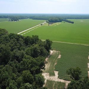 Photo #43 of SOLD property in Ivor Rd, Courtland, VA 202.0 acres