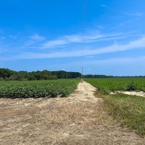 Photo #44 of SOLD property in Ivor Rd, Courtland, VA 202.0 acres