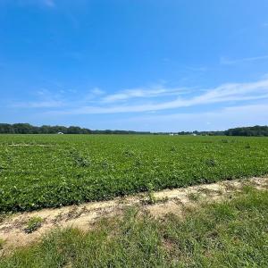 Photo #45 of SOLD property in Ivor Rd, Courtland, VA 202.0 acres