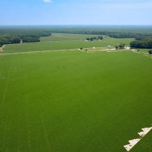 Photo #46 of SOLD property in Ivor Rd, Courtland, VA 202.0 acres