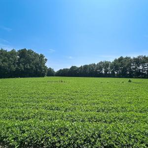 Photo #48 of SOLD property in Ivor Rd, Courtland, VA 202.0 acres