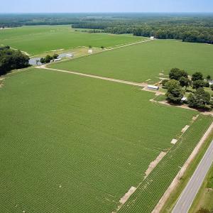 Photo #49 of SOLD property in Ivor Rd, Courtland, VA 202.0 acres