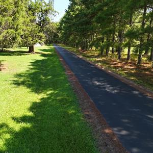 Photo #37 of SOLD property in 30503 Camp Parkway, Courtland, VA 77.2 acres