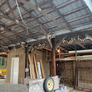 Photo #44 of SOLD property in 30503 Camp Parkway, Courtland, VA 77.2 acres