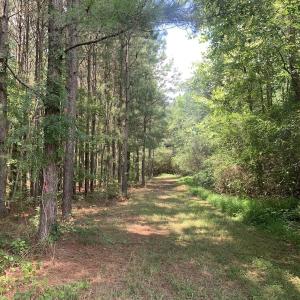 Photo #47 of SOLD property in 30503 Camp Parkway, Courtland, VA 77.2 acres