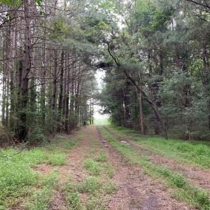 Photo #49 of SOLD property in 30503 Camp Parkway, Courtland, VA 77.2 acres