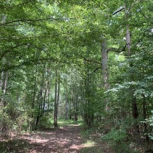 Photo #50 of SOLD property in 30503 Camp Parkway, Courtland, VA 77.2 acres