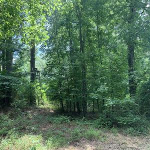 Photo #51 of SOLD property in 30503 Camp Parkway, Courtland, VA 77.2 acres