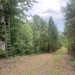 Photo #52 of SOLD property in 30503 Camp Parkway, Courtland, VA 77.2 acres